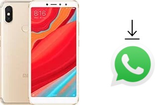 Come installare WhatsApp su Xiaomi Redmi S2 (Redmi Y2)