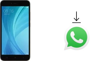 Come installare WhatsApp su Xiaomi Redmi Y1