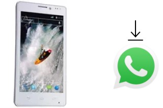 Come installare WhatsApp su XOLO X910