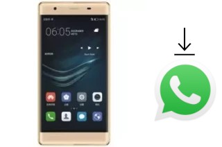 Come installare WhatsApp su Xplay P9I