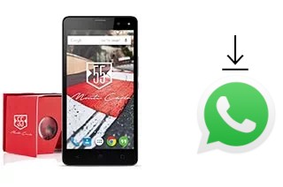 Come installare WhatsApp su Yezz Monte Carlo 55 LTE VR