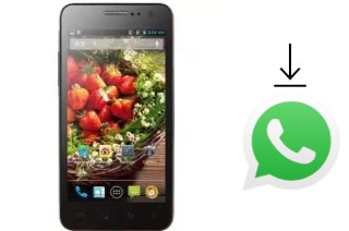 Come installare WhatsApp su Yusun W808