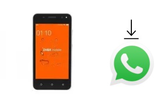 Come installare WhatsApp su ZH-K Mobile Ace 3