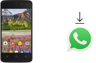 Come installare WhatsApp su Zopo Color M4