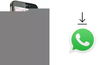 Come installare WhatsApp su ZTE Skate Acqua