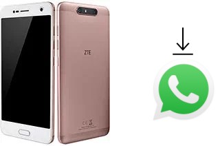 Come installare WhatsApp su ZTE Blade V8