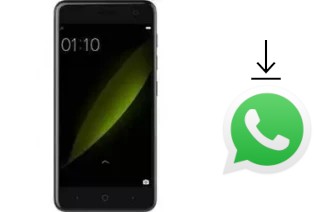 Come installare WhatsApp su ZTE Blade V8C