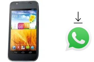 Come installare WhatsApp su ZTE Grand Era U895