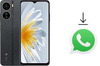 Come installare WhatsApp su ZTE Voyage 3D