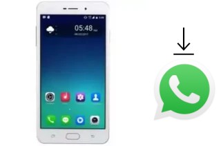 Come installare WhatsApp su ZYQ Q-Mate R99