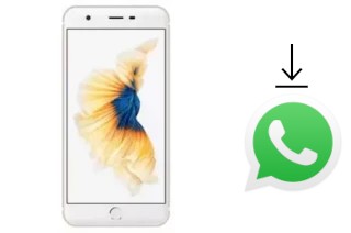 Come installare WhatsApp su ZYQ Q-ME Phone 7 3G