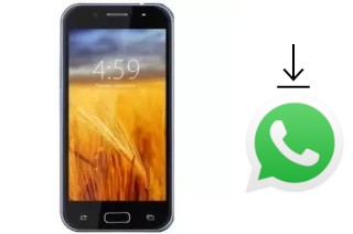 Come installare WhatsApp su ZYQ Q UP C5