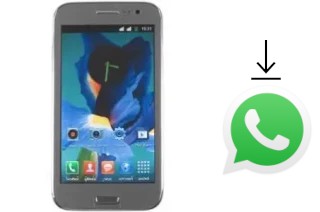 Come installare WhatsApp su ZYQ Q3022