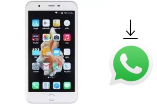 Come installare WhatsApp su ZYQ Q638